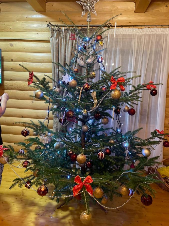 Вілла Софі Verhovina Kültér fotó
